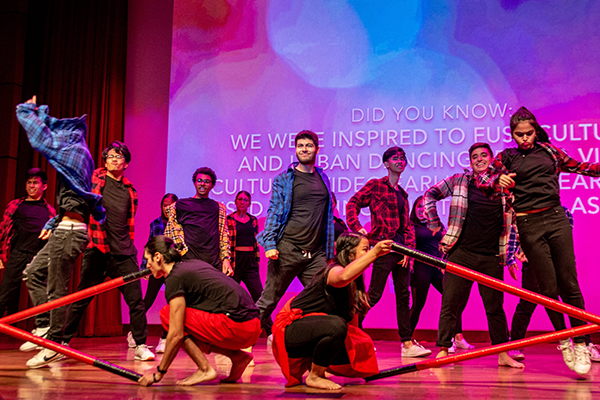 Performers Tinikling