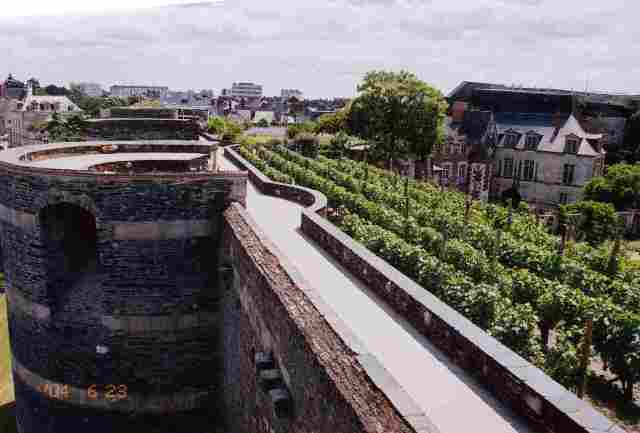 View from top of Angers's medieval castle