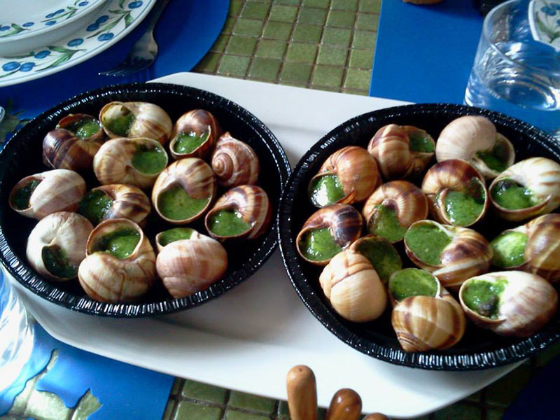 Escargots!