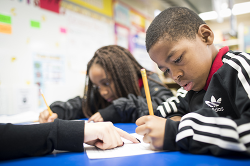 Two students studying