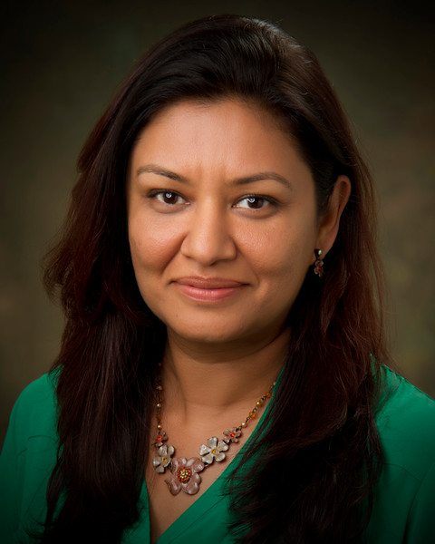 Anjana Singhal Photo