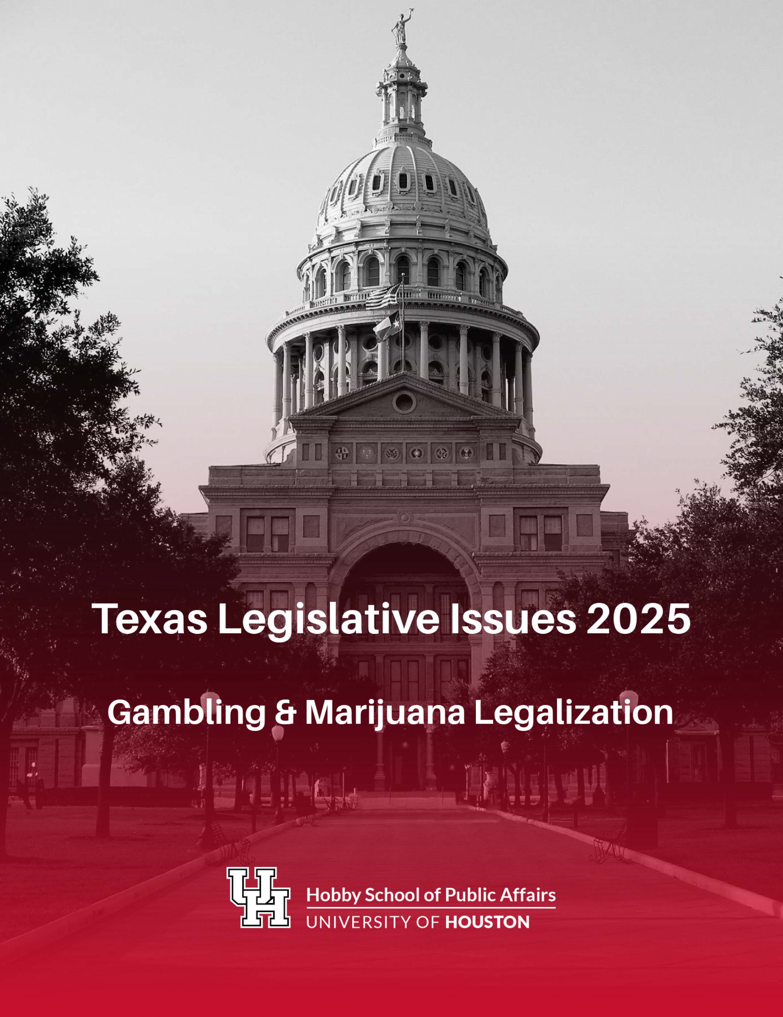 legalization report cover