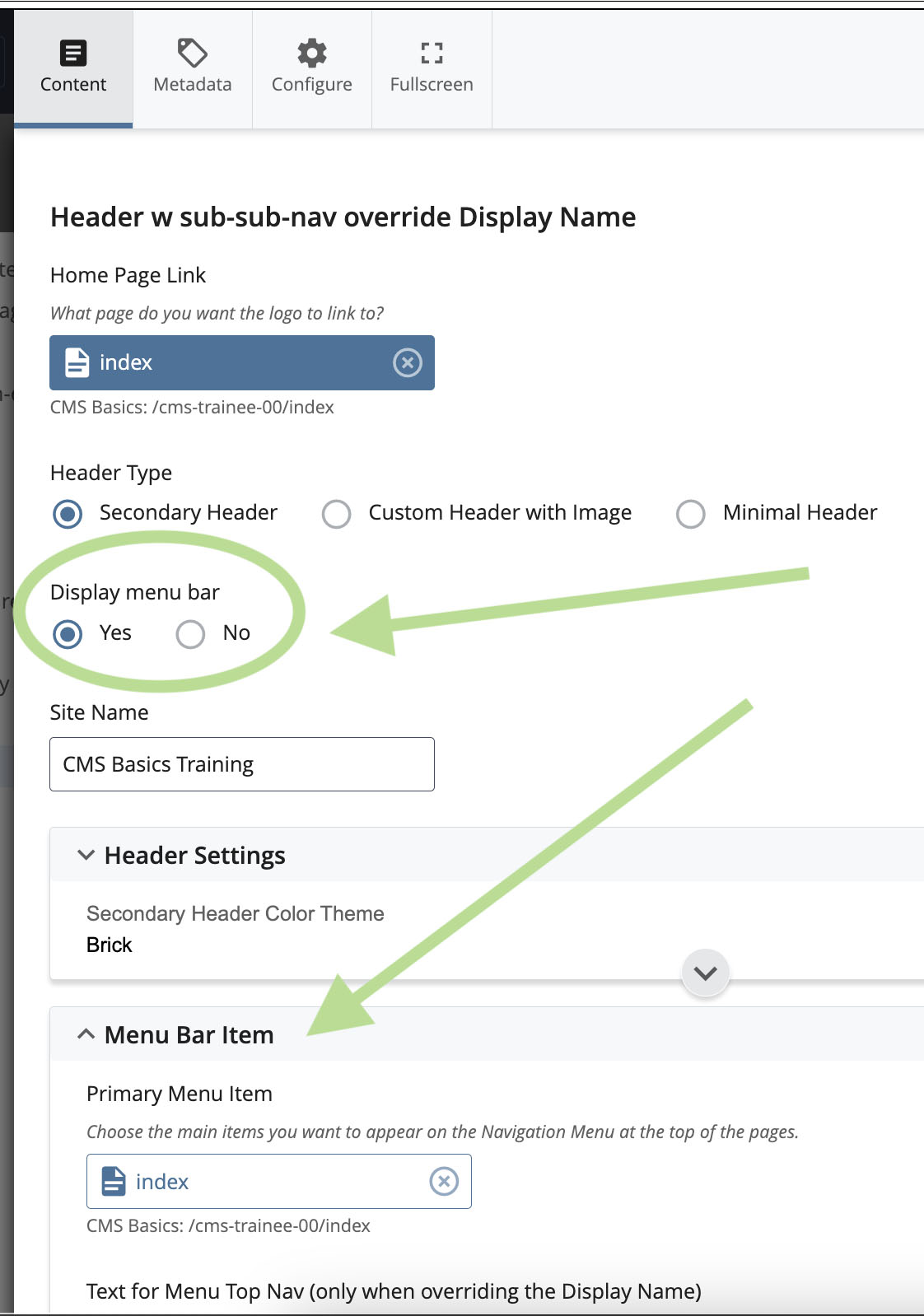 Screenshot showing the radio button to enable the Header Menu