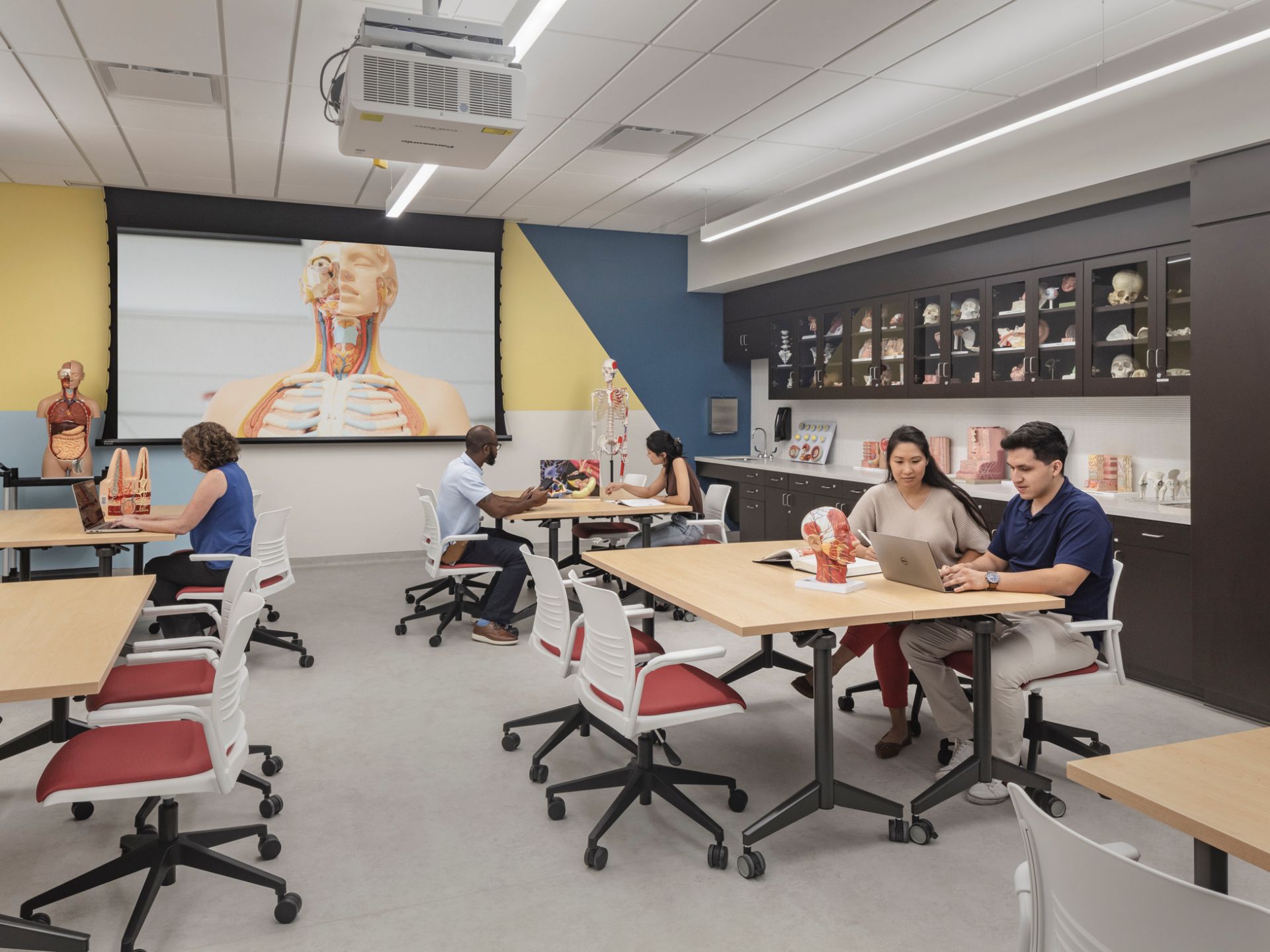 Dry Lab / Skills Lab