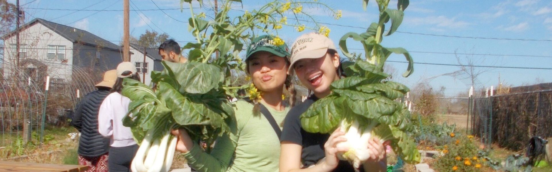 Environment and Sustainability