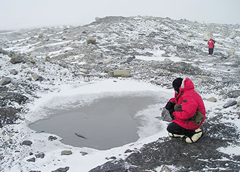 Antarctic Ice Sheet