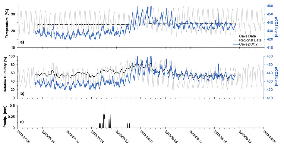 Dataset