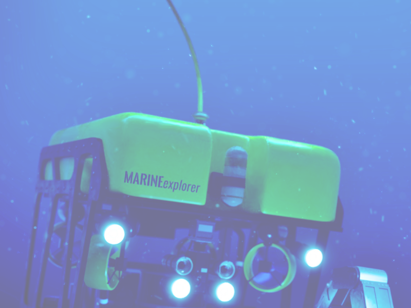 subsea robot